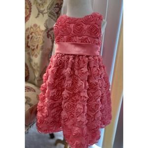 American Princess Pink Dress With Rose Embellishments